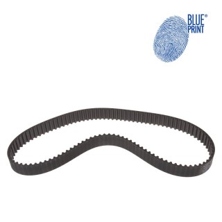Cintura dentata