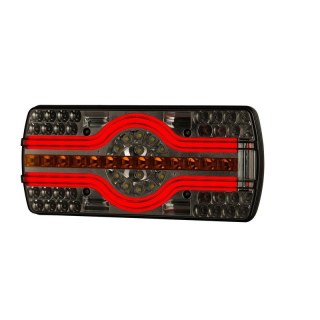 Feu arrière LED néon avec éclaireur de plaque | 12-24V | 2.0m cable