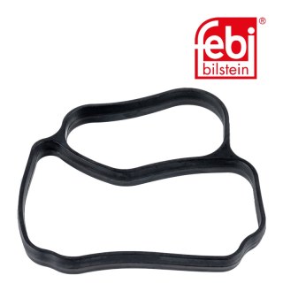 Dichtung für Thermostatgehäuse