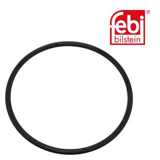 Wellendichtring für Radnabe